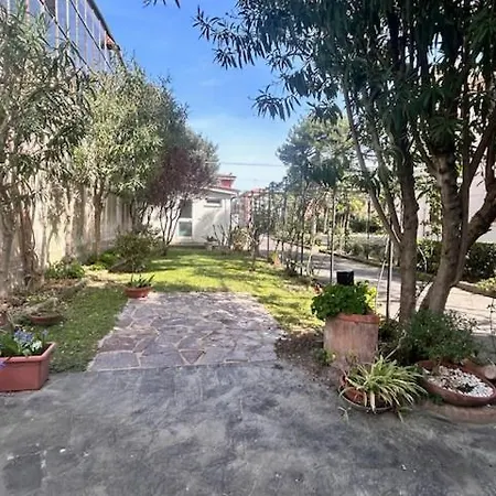 Hotel Pina Senigallia