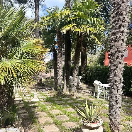 Pina Сенигаллия