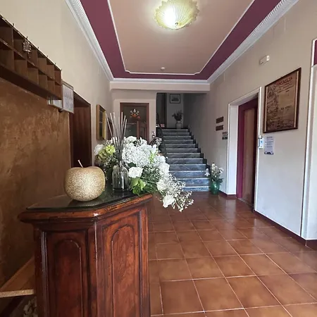 Pina Senigallia