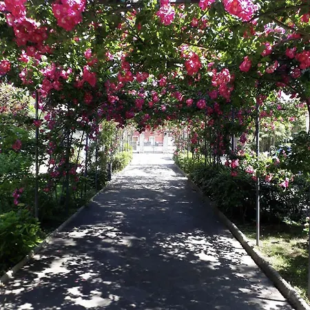 Pina Hotel Senigallia