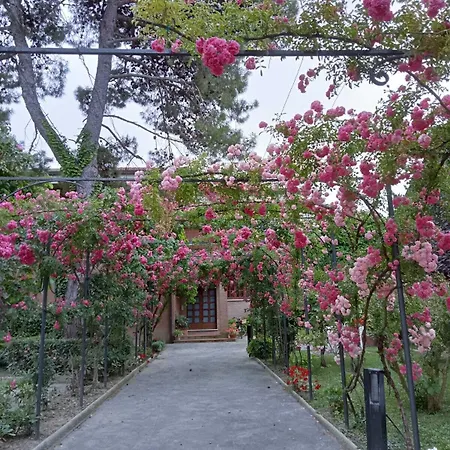 Pina Hotel Senigallia